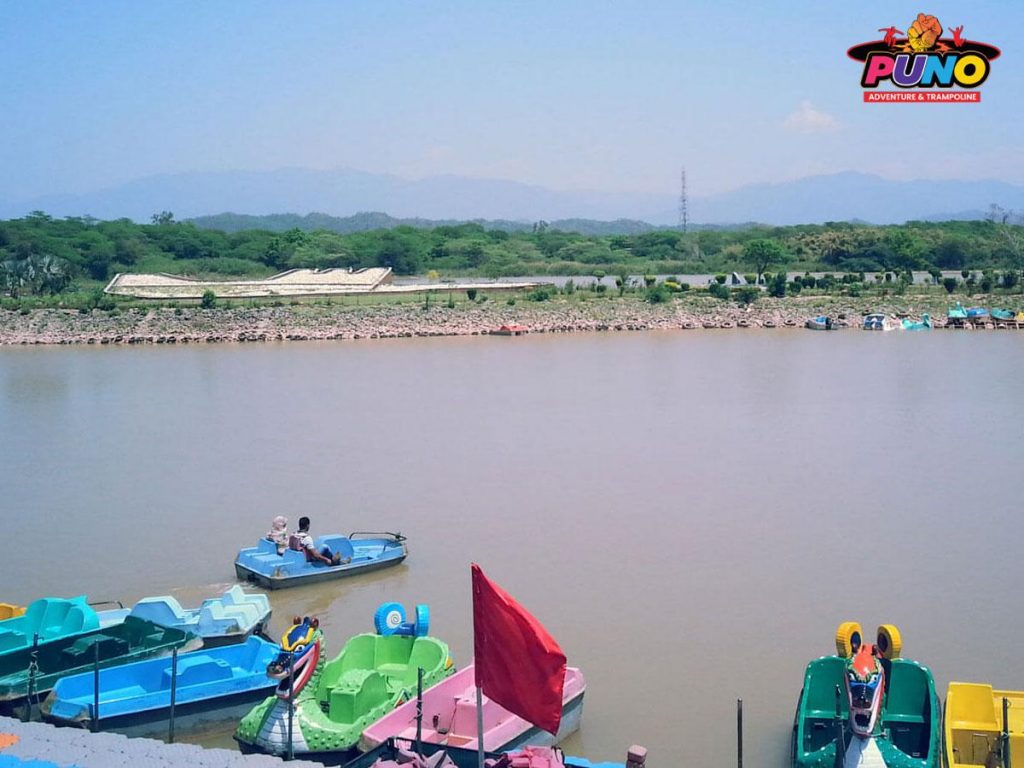 11 Fun Activities Near Me You Must Visit