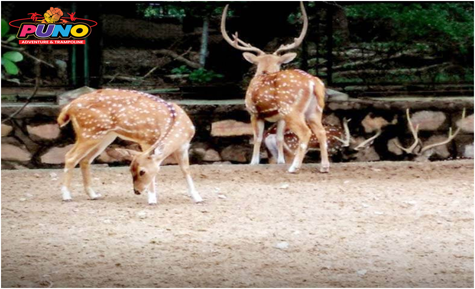 7 Fun Places in Jaipur You Must Visit