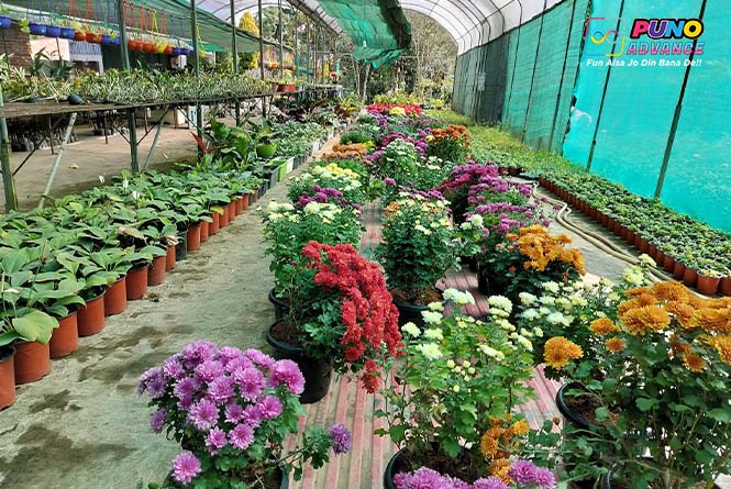 Botanical Garden, Khanapara