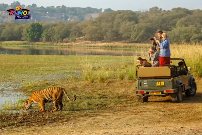 Ranthambore National Park